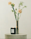 Ritual Candle 01